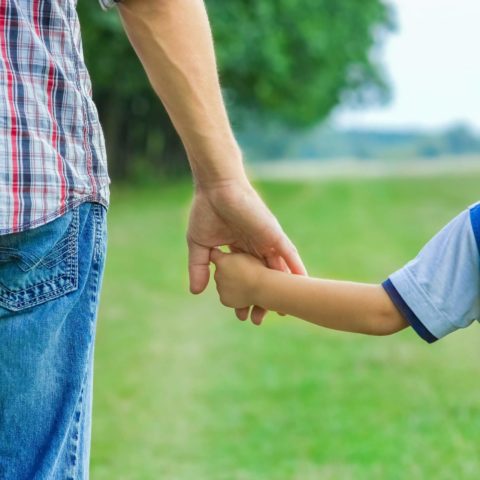 Beautiful Hands Of Parent And Child Outdoors In The Park