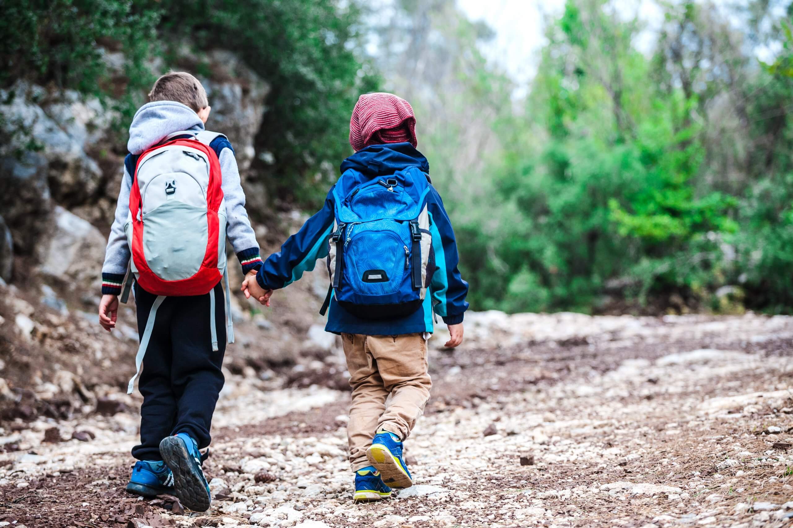 Two Boys With Backpacks Are Walking Along A Forest Path. The Bro